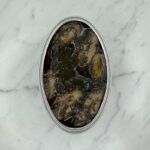 inktvis in inkt van Ramon Peña